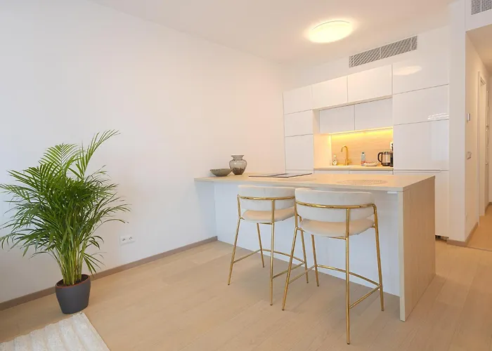 Skau Sky Park Ivory By Zaha Hadid 11 Floor 4 Tower Free Parking Apartment Pressburg